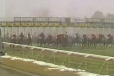 【衝撃競馬動画】これは放送事故！「何も見えない」競馬中継
